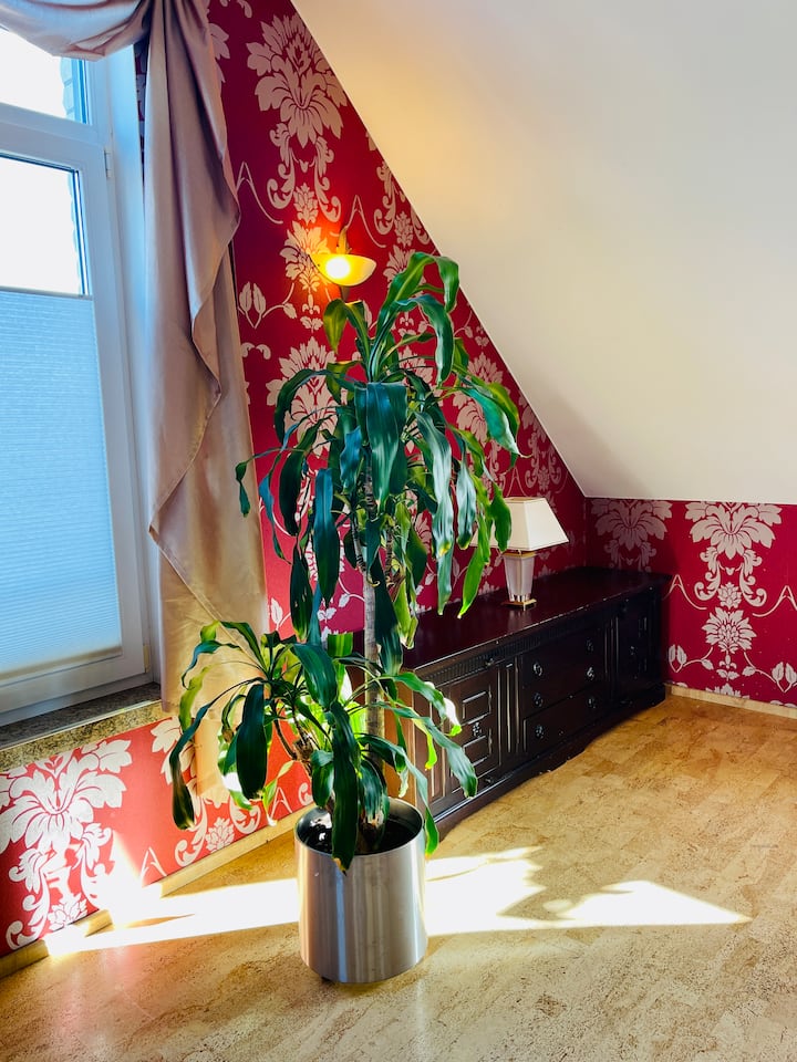 P. Zimmer Mit Sep. Bad Im Haus - Düsseldorf
