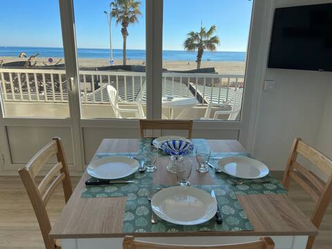 Le CaRRouSeL - Air conditioning - Wi-Fi - Direct beach access