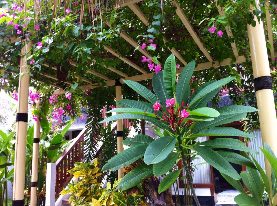 A charming terrace is surrounded by lush tropical plants and vibrant pink flowers. The structure features bamboo-like supports, creating a natural canopy. The colorful foliage enhances the garden's tranquil ambiance, while a staircase leads up to a pathway, adding depth to the outdoor space.