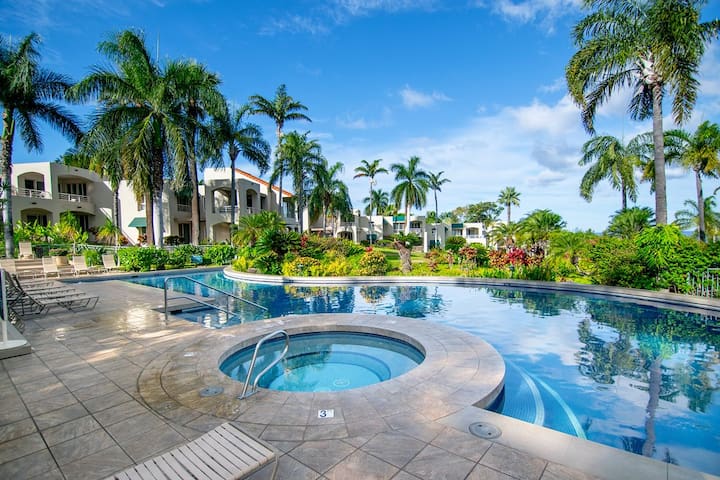 Wailea Resort Kihei Condo