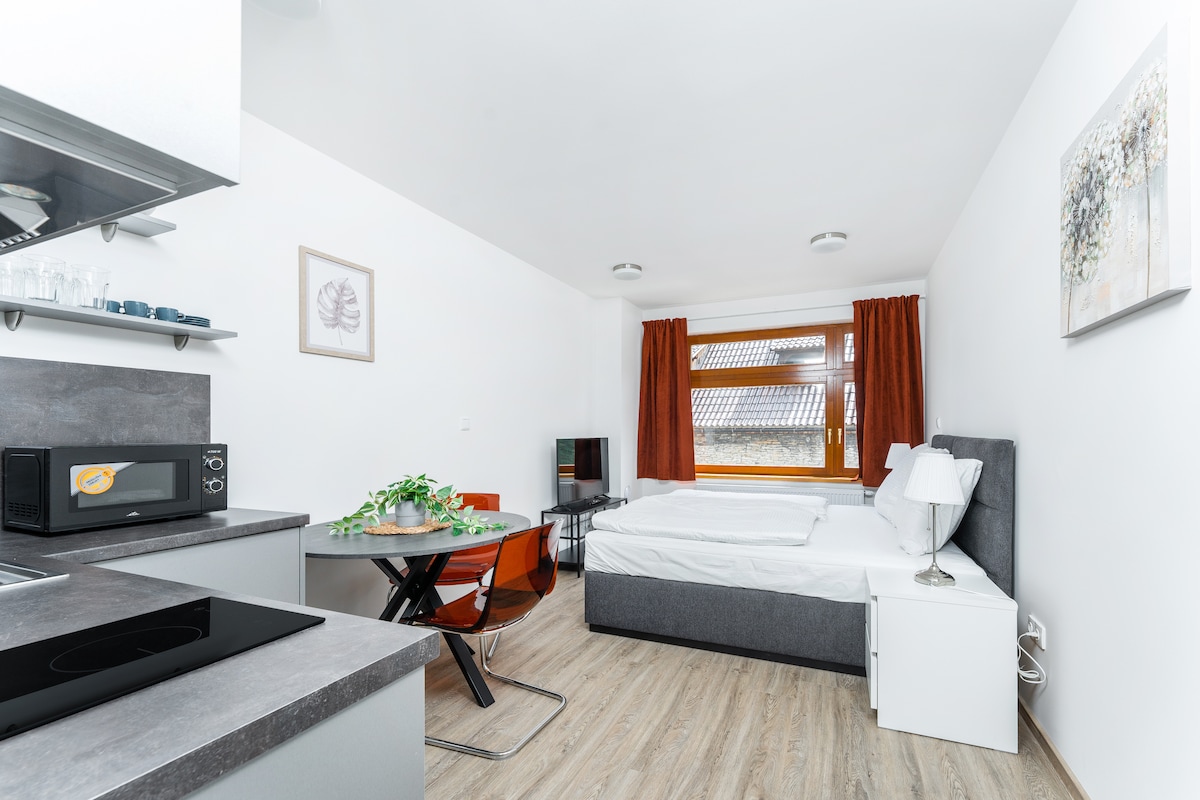 A modern studio apartment features a spacious area with a neatly made bed, a compact dining table with chairs, and a kitchenette equipped with essential appliances. Natural light streams through a large window, complemented by stylish decor and warm, inviting colors.