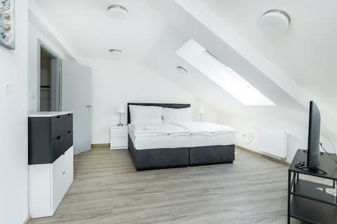 Apartment Poděbrady 13.