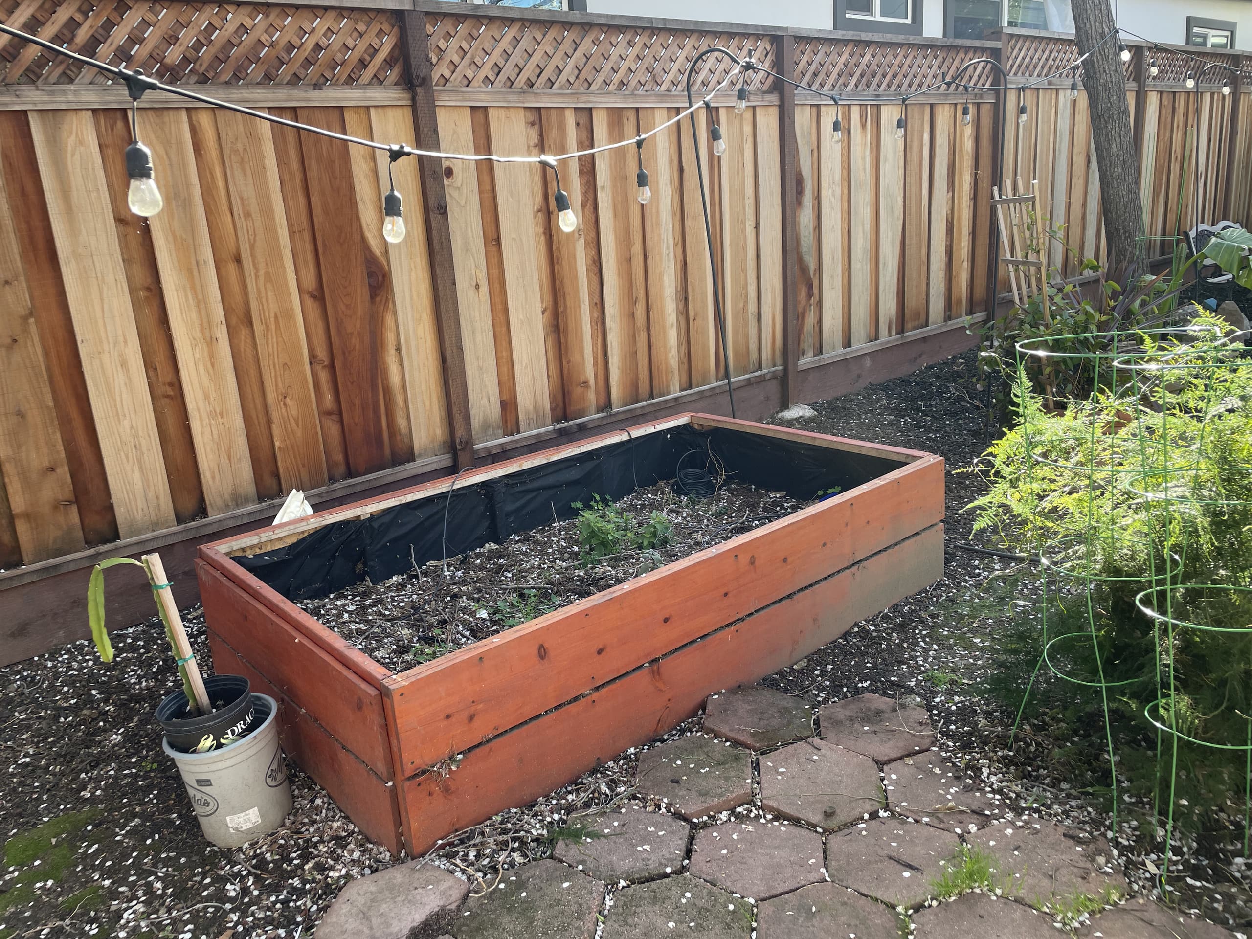 Renovated Craftsman Near Caltrain & Downtown - Photo 31