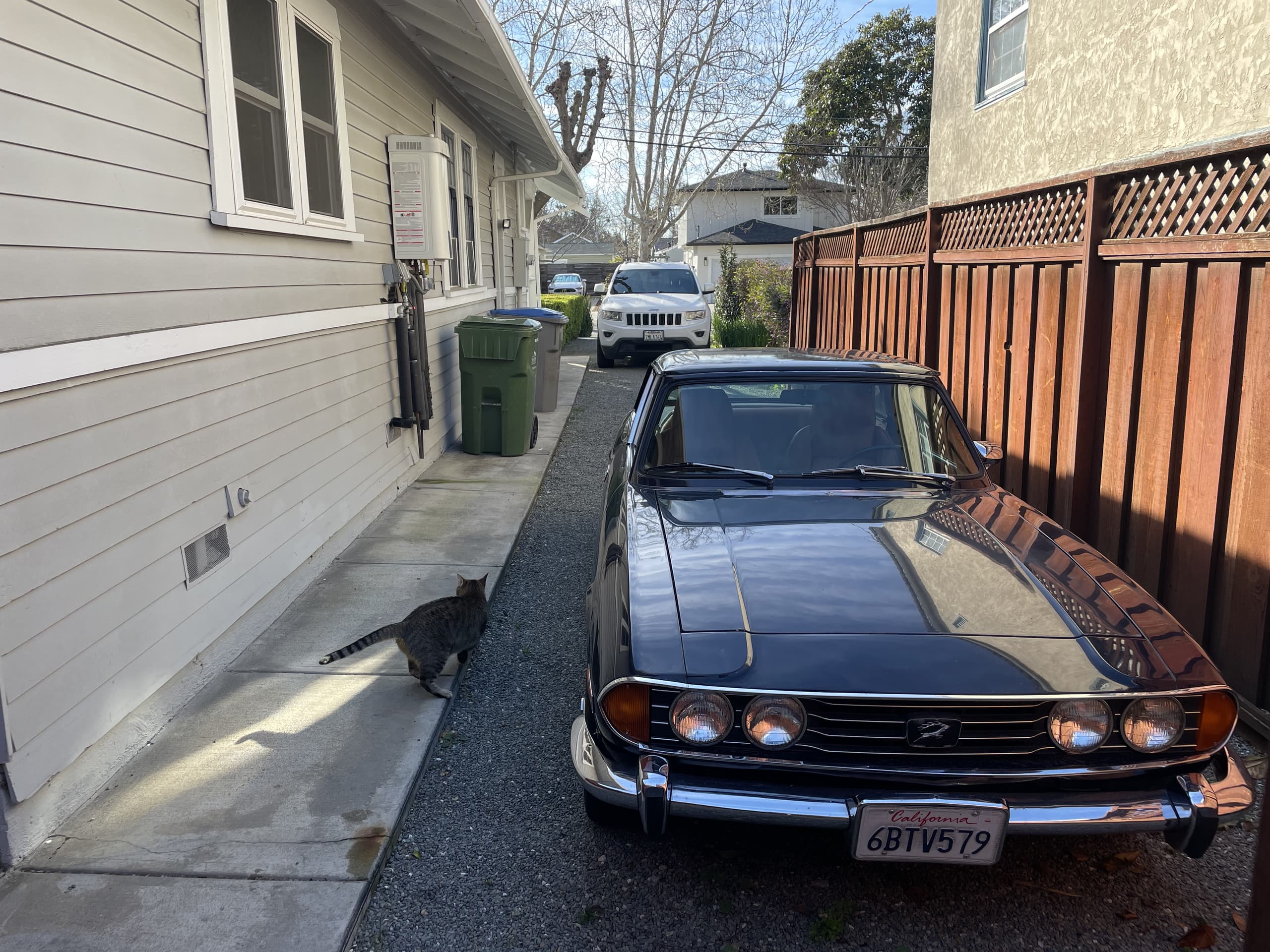 Renovated Craftsman Near Caltrain & Downtown - Photo 45