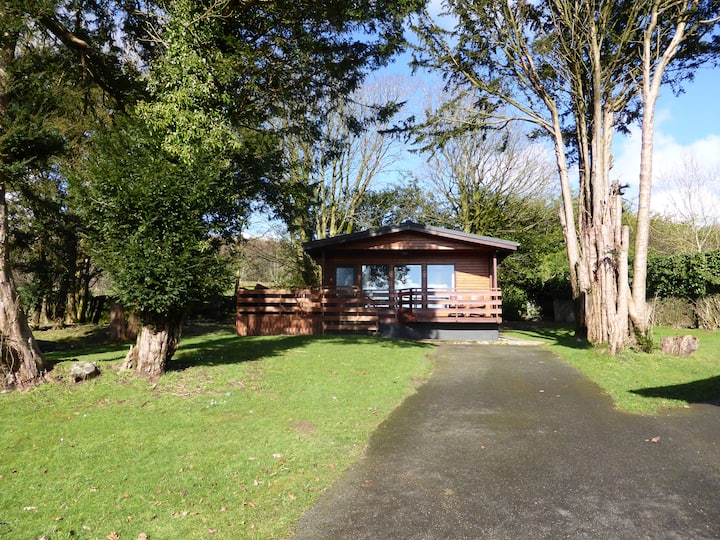 Birch Lodge 23 With Hot Tub - Newton Stewart