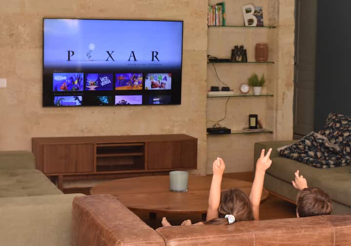 3 canapés cosy, TV avec accès aux chaînes Netflix, Disney+, etc., foyer avec bûches fournies.