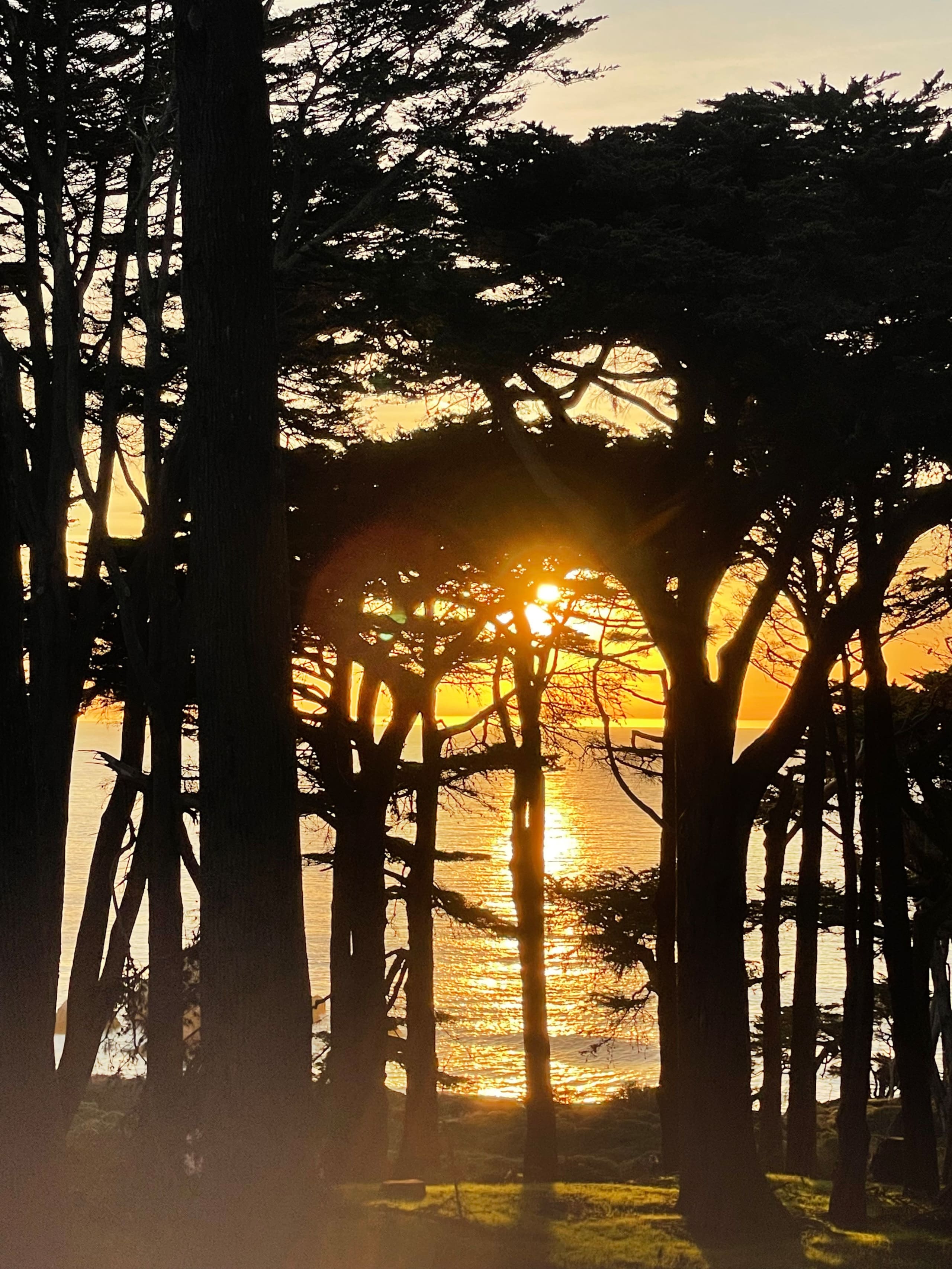 Home in San Francisco · ★4.95 · 3 bedrooms · 1 bed · 2.5 baths - Image 22