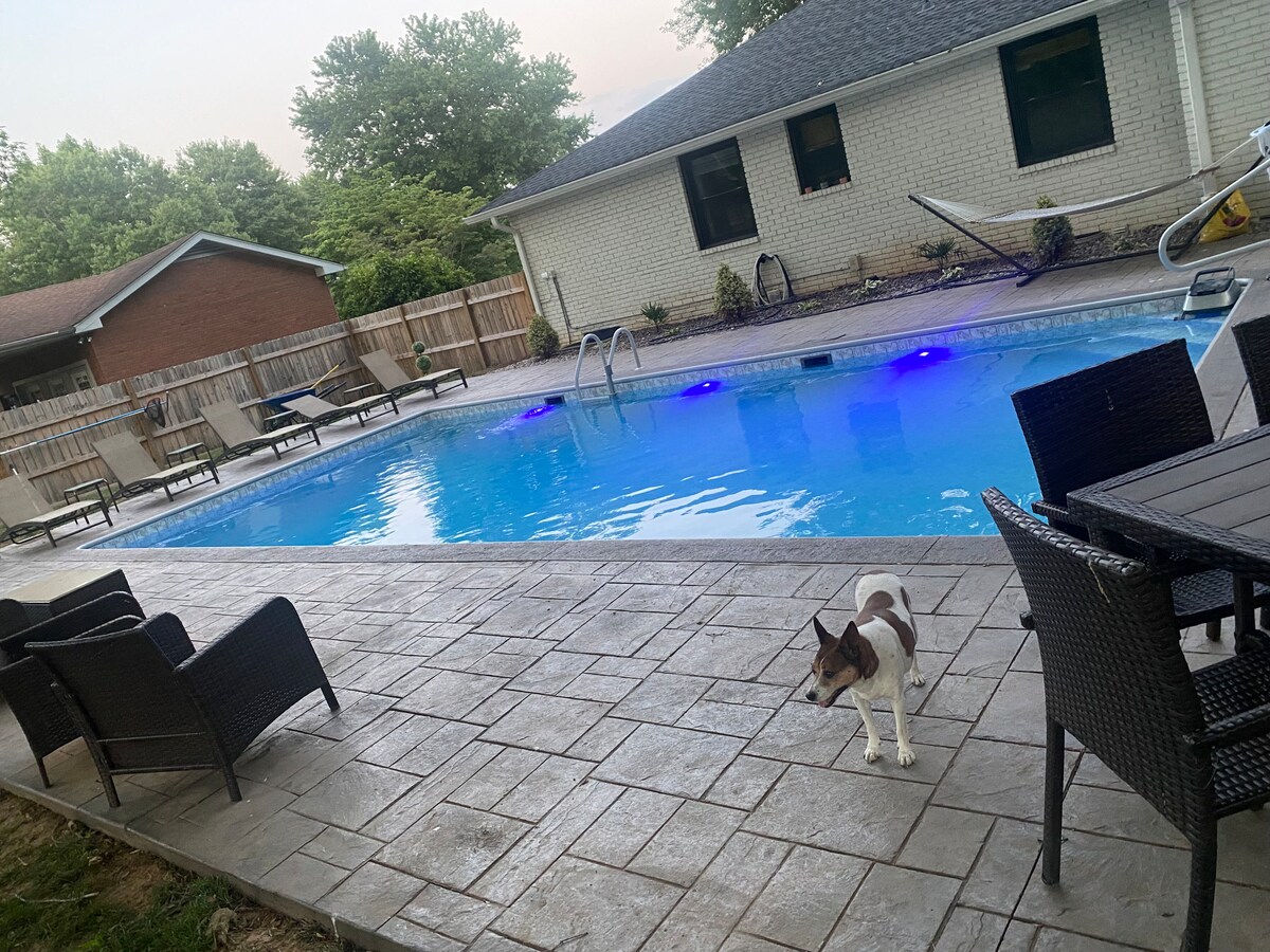 A well-maintained pool area is featured, with a clear blue pool illuminated by subtle lights. Surrounding the pool, several lounge chairs and a dining table are positioned on a textured stone patio. A small dog is seen near the edge of the patio.