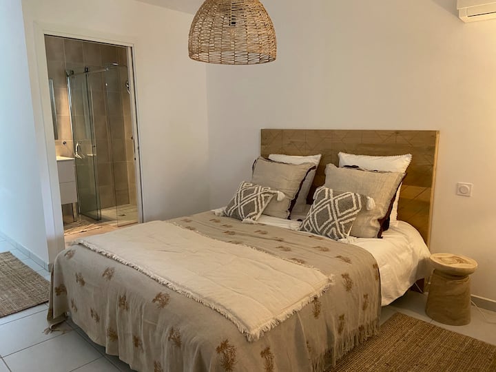 Chambre 1 au RDC avec lit de 160 cms, douche à l'italienne, WC, Lavabo, coin bureau, penderie