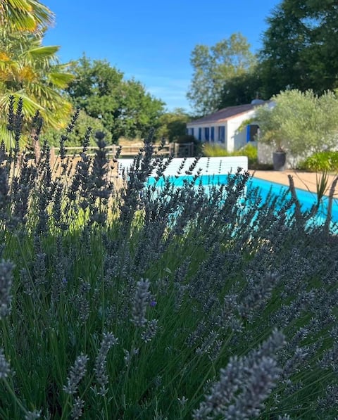   Gaia - jacuzzi - heated pool, bicycles.