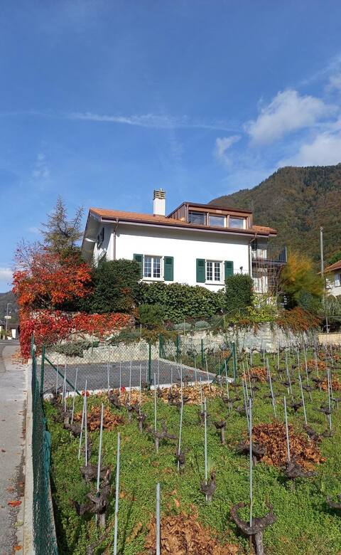 Cozy vacation home in Villeneuve