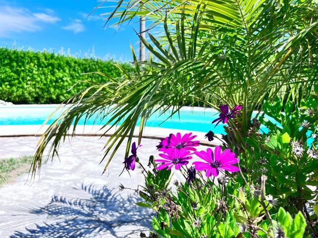 Soluzione B&B Srls managed Airbnb listing 2
