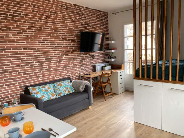 Charmant Studio Quai De Garonne - Toulouse