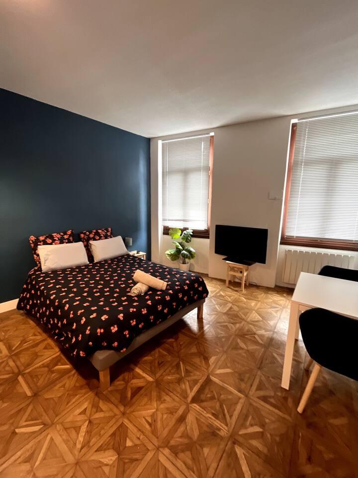 Studio centreville Apartments for Rent in Toulouse, Occitanie