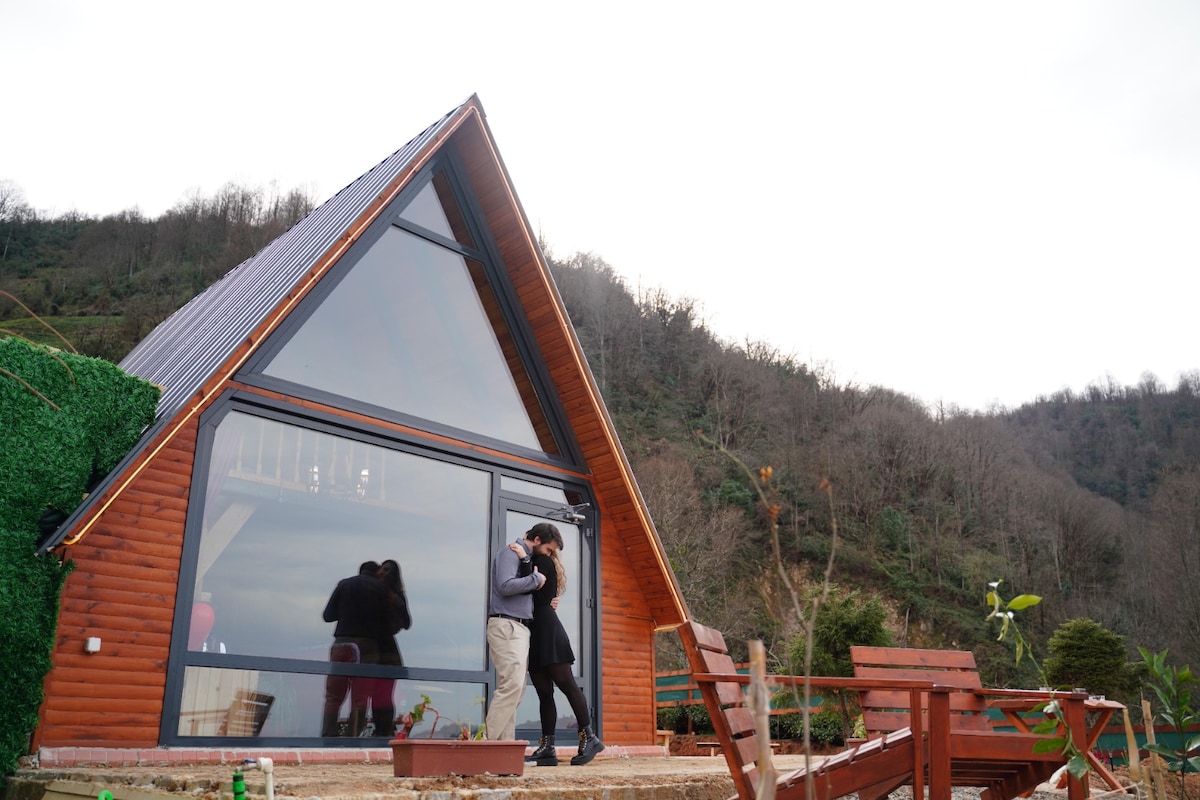 A modern bungalow with a triangular roof features large glass windows that offer expansive views of the surrounding landscape. Natural wood accents are prominent on the exterior, complemented by a wooden deck area. Lush greenery and a hillside can be seen in the background.