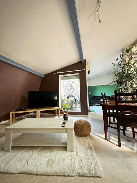 Architect-designed apartment in the heart of the city