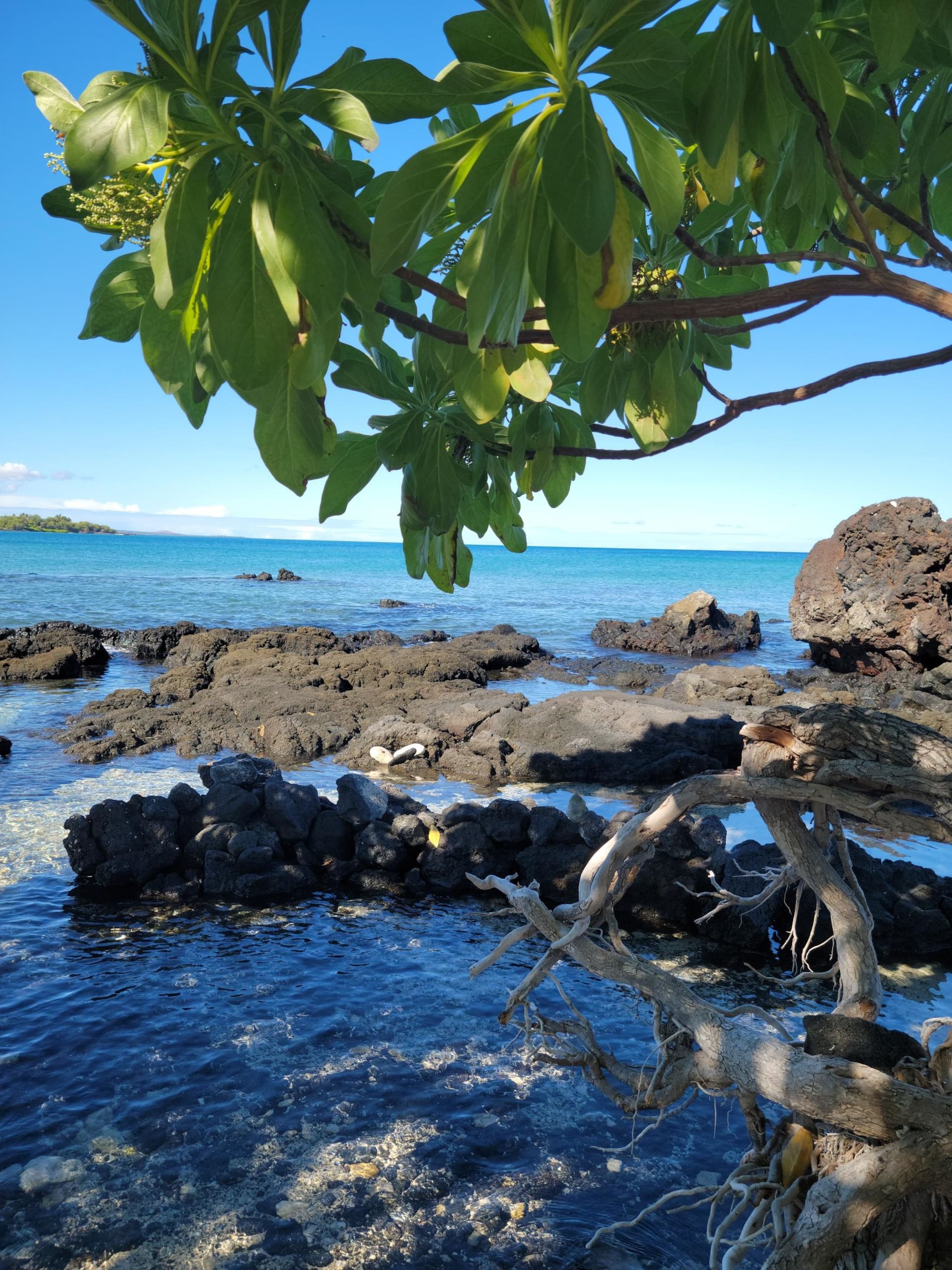 Condo in Waimea · ★4.98 · 2 bedrooms · 3 beds · 2 baths - Image 10