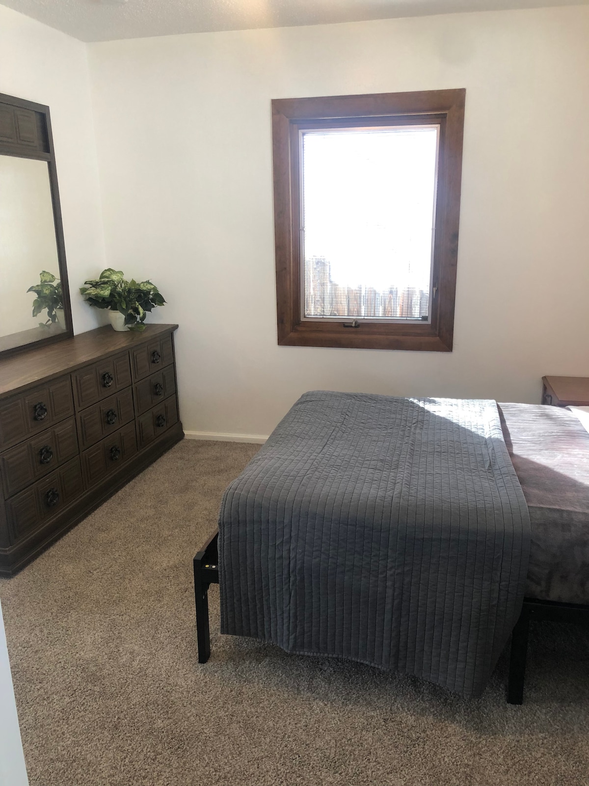 A cozy bedroom features a spacious bed covered with a folded blanket. Natural light enters through a window adorned with simple treatments, while a wooden dresser and a potted plant complete the inviting and functional space.
