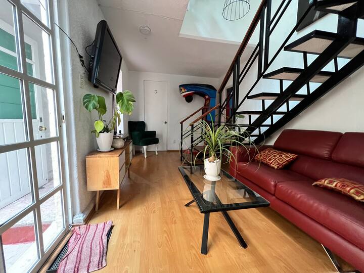 Newly remodeled Casa Roma 1 Houses for Rent in Mexico City, Ciudad de