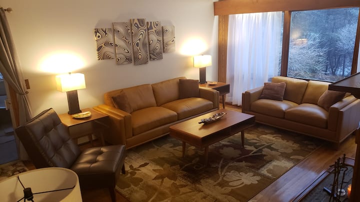 Who needs a TV when you got a window wall and a fireplace?