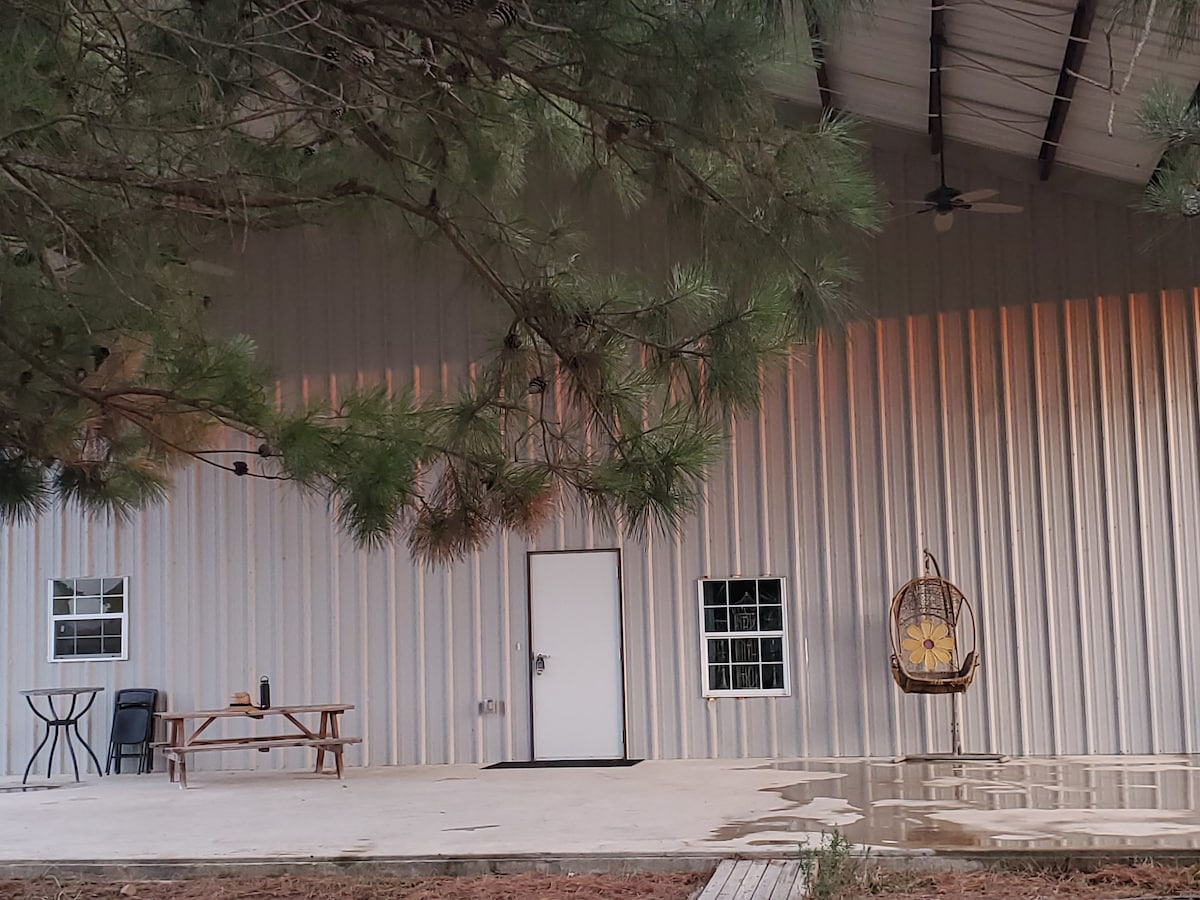 A spacious outdoor area is shown, featuring a picnic table and a small round table with two chairs. A single swinging chair adorned with floral design hangs from the right side. The building's metal exterior is complemented by a soft natural backdrop of pine branches.
