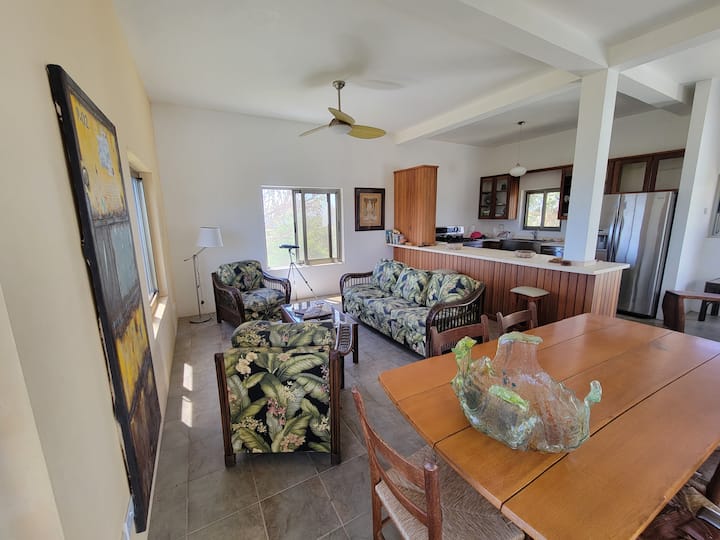 Всекидневна с изглед.
Той съдържа разтегателен диван, на който могат да се настанят 2 - ма възрастни, маса за хранене, която може да побере 6 души и прилежаща напълно оборудвана кухня