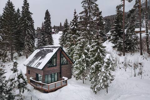 The cabin under the gutter