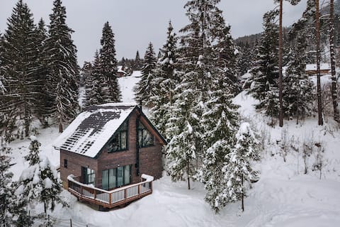 The cabin under the gutter