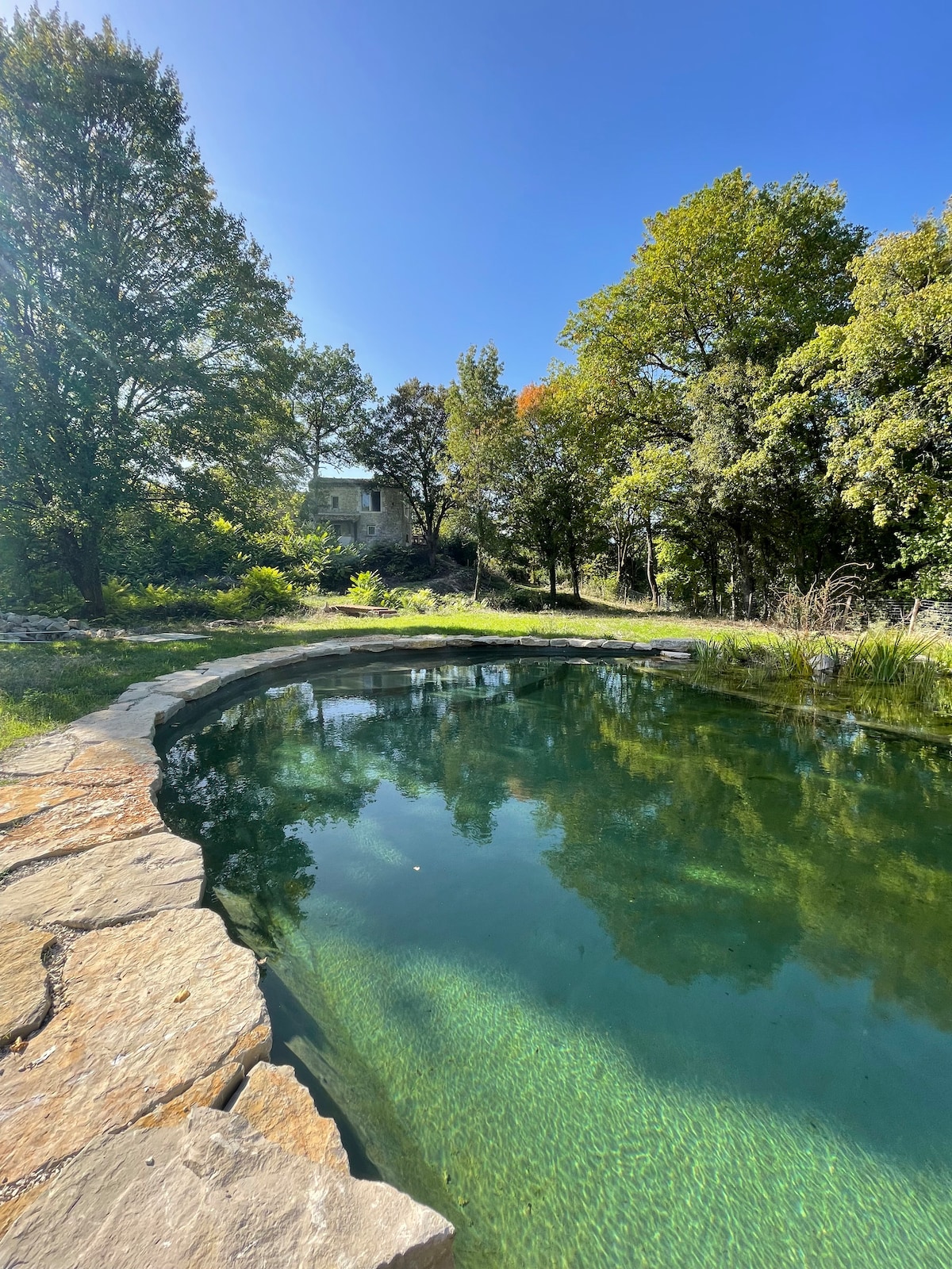 A natural swimming pool is surrounded by a stone perimeter, with sunlight reflecting off its clear water. Lush greenery and trees frame the scene, providing a serene and private atmosphere.