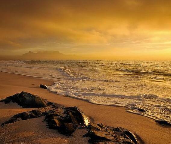 Luxurious beach house gallery image 5