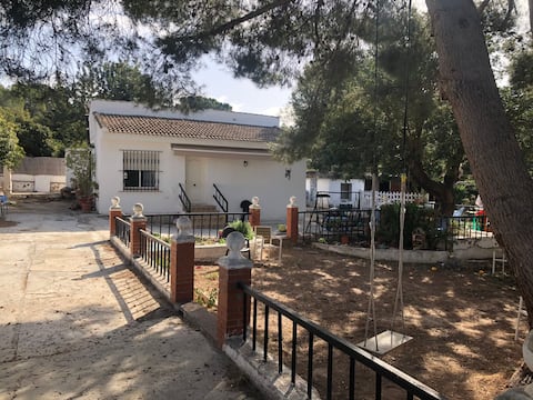 A villa among pine trees 25 minutes from Valencia