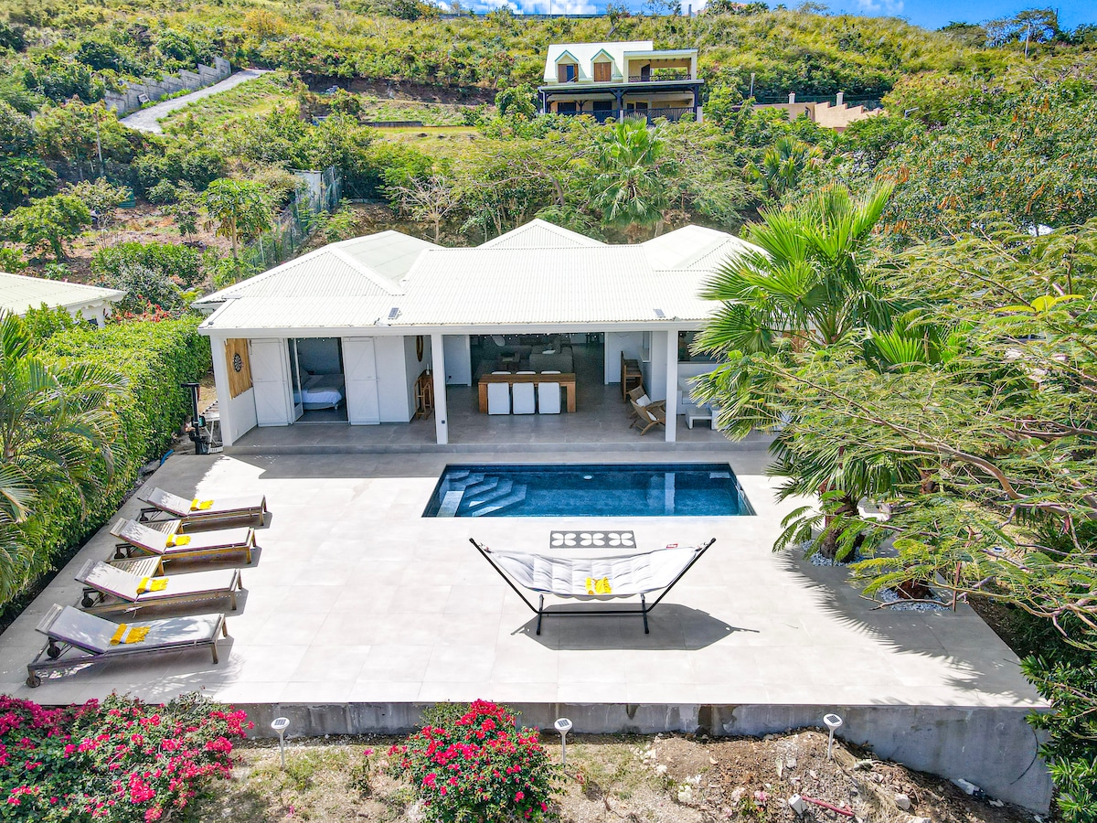 An outdoor area of the villa features a private pool surrounded by a spacious deck. Several loungers are positioned for relaxation, while a hammock is set up nearby. Lush greenery and vibrant flowers add a touch of color, with the villa's modern architecture visible in the background.