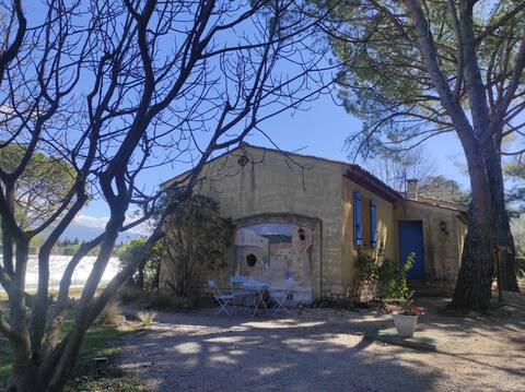Successful Airbnb property: Gîte and pool with views of Mont Ventoux in Carpentras