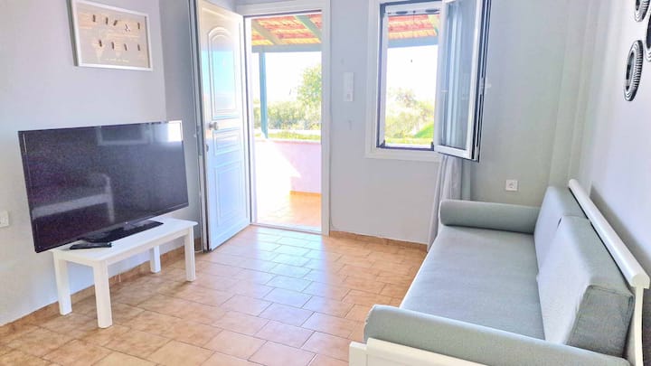 Ambient ndenjjeje me divan-krevat dhe TV me ekran të sheshtë