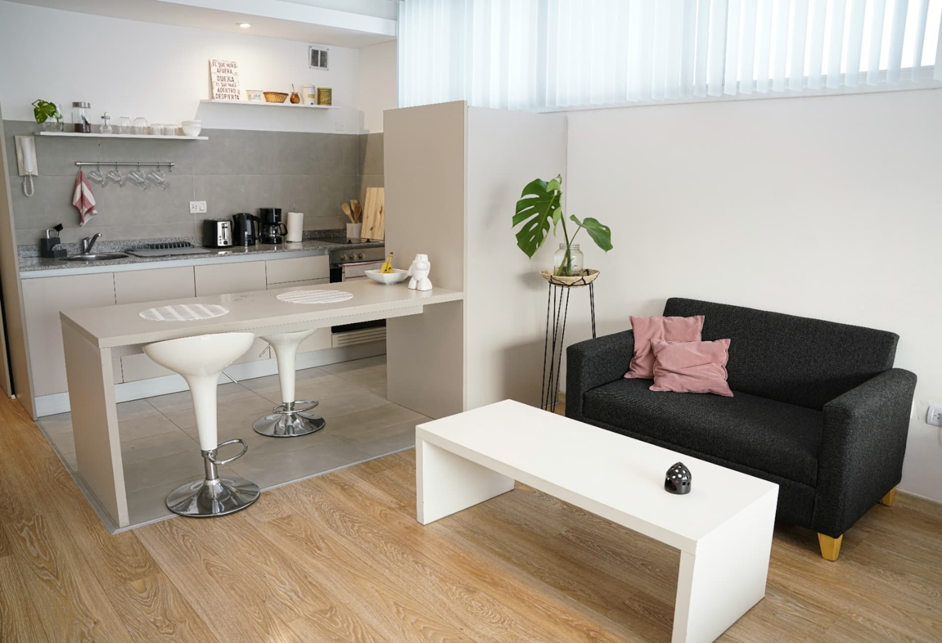 Bright one-bedroom apartment in Belgrano