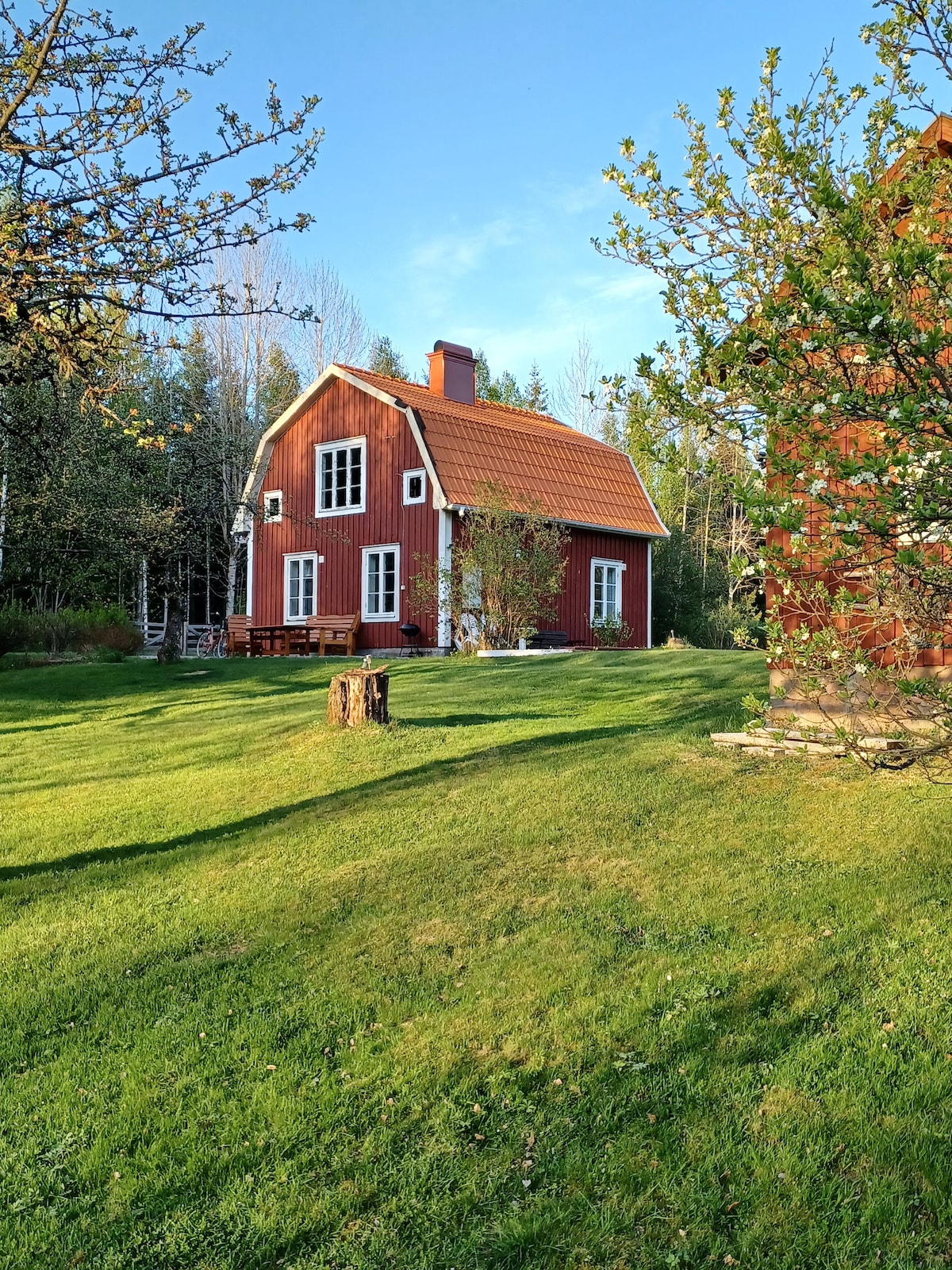 A traditional red cottage is set amidst lush green grass and trees. The building features large windows that allow natural light to fill the interior. A table is present in the foreground, inviting outdoor relaxation in the serene environment.