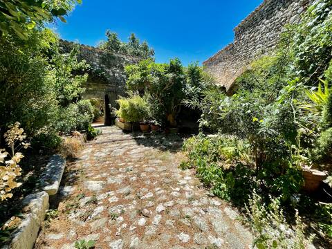 Vast village house with garden and terraces