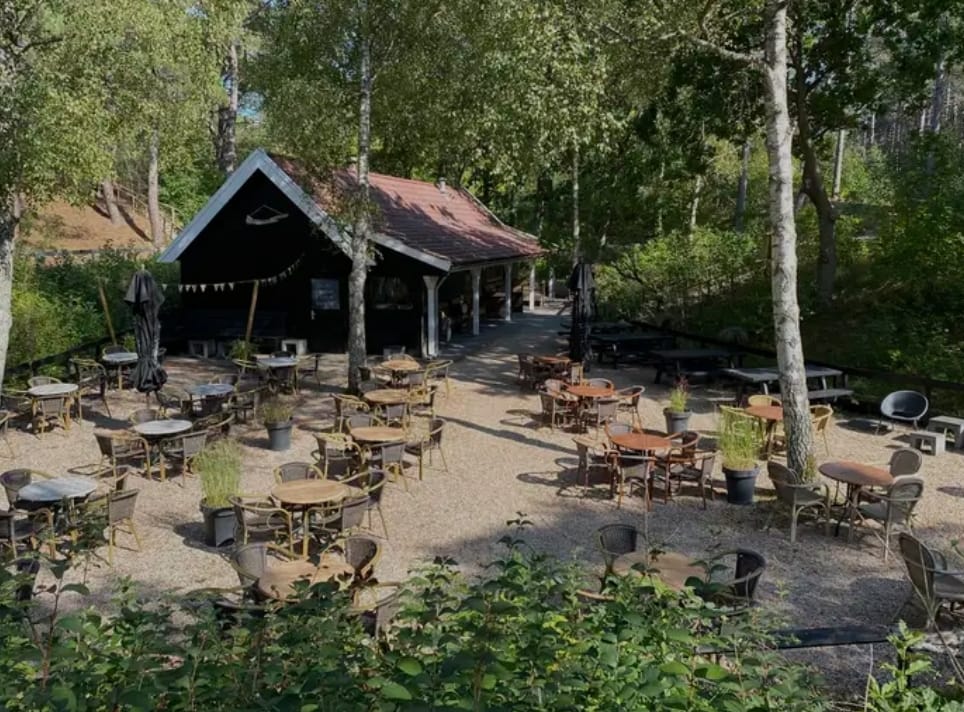 An outdoor dining area is surrounded by trees and greenery. Numerous round tables with chairs are set up on a gravel surface, under the shade of tall trees. A rustic building with a sloped roof is visible in the background, contributing to the natural setting.