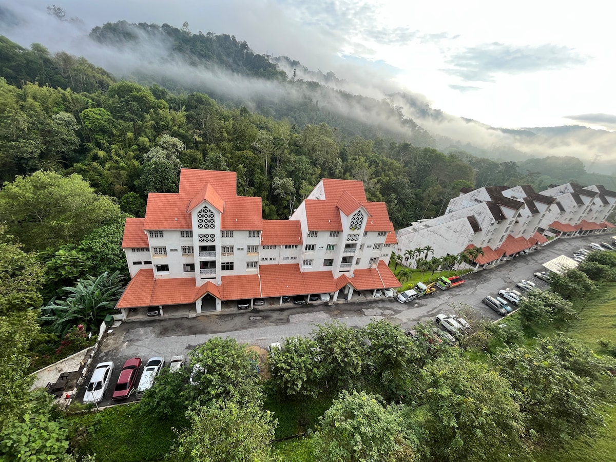 A view of the surrounding area features a cluster of buildings with red-tiled roofs, nestled among lush greenery. Mist gently envelops the mountain backdrop, creating a serene atmosphere. A winding road lined with parked cars is visible in the foreground.