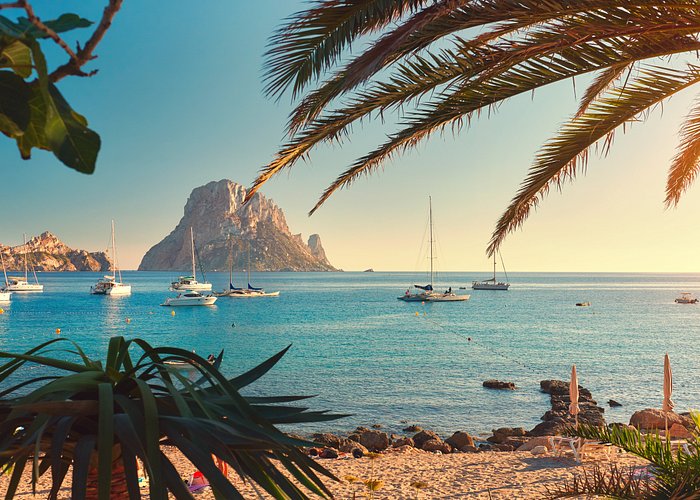 A tranquil coastal scene features a serene beach with gentle waves lapping at the shore. Several sailboats are anchored in the clear water, while a distant rocky island is framed by palm leaves. The warm sunlight casts a golden hue over the landscape.