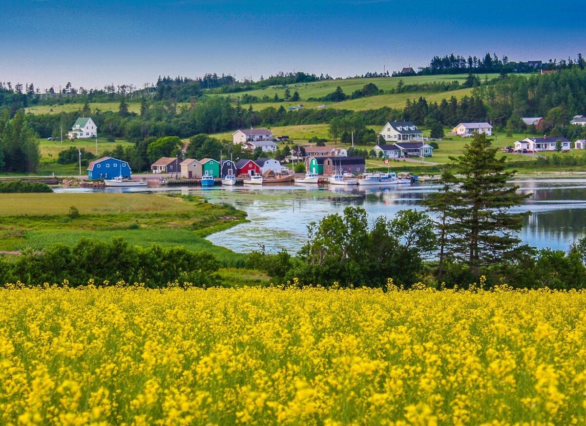 North Shore Canteen Condo Apartments for Rent in French River, Prince