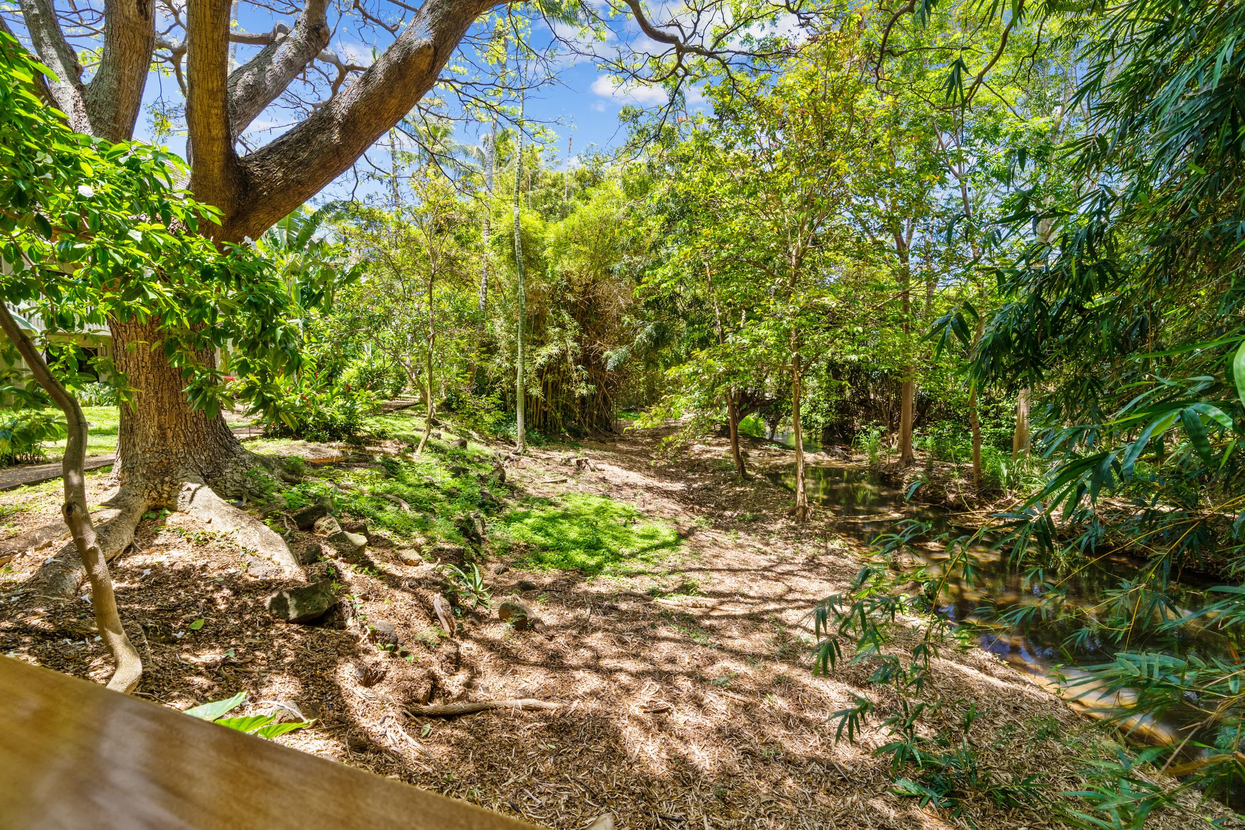 Condo in Koloa · ★4.92 · 2 bedrooms · 2 beds · 2 baths - Image 28