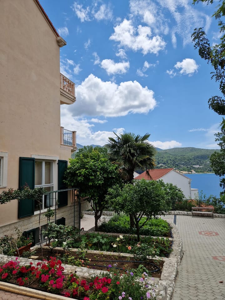 Vila Lukić - Slano