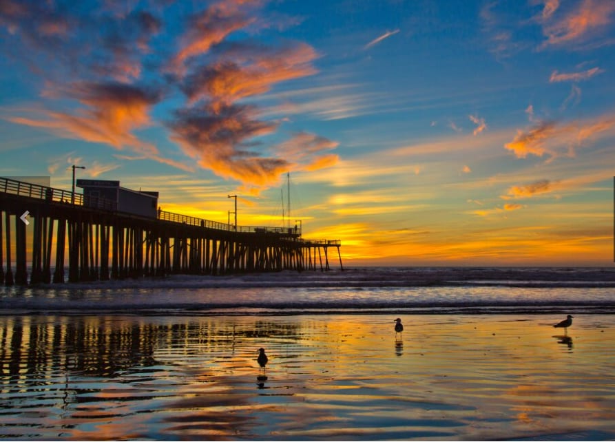 A vibrant sunset is captured, reflecting hues of orange and blue across the water. A pier extends into the scene, with silhouettes of birds along the shoreline, their outlines softened by the water's surface. Clouds are painted in warm colors, enhancing the tranquil seaside atmosphere.