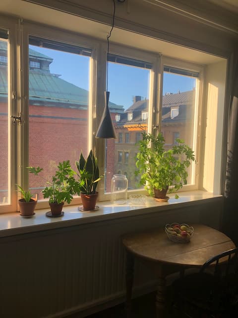 Top performing Airbnb: Cozy studio apartment in Södermalm