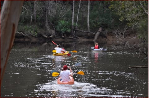 Noosa on the river in the bush with fishing kayaks