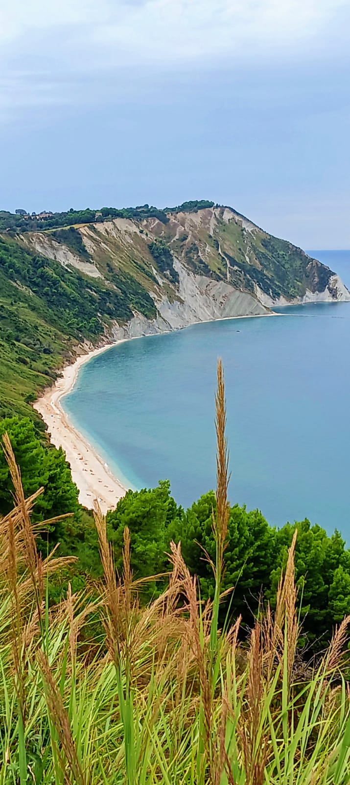 A sweeping coastal landscape is captured, revealing a serene beach bordered by lush greenery and rugged cliffs. The calm waters gently lap at the shore, while gentle waves create a tranquil scene. The sky is overcast, adding to the peaceful ambiance of this natural setting.