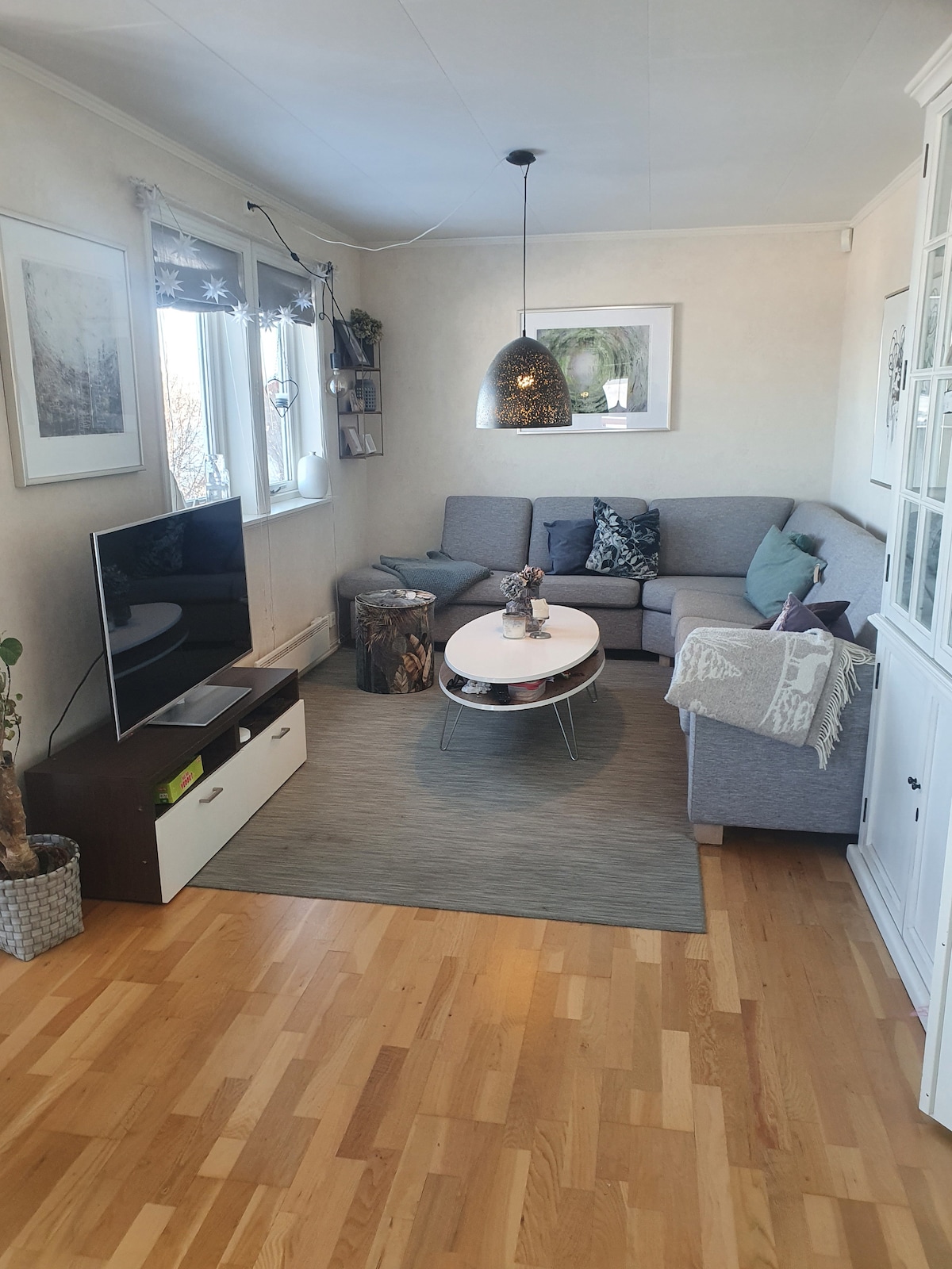 A bright living room features a comfortable sectional sofa and a circular coffee table placed on a soft area rug. A television stands on a modern media console, and natural light floods in through large windows, enhancing the neutral decor of the space.