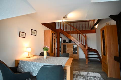 Successful Airbnb property: Great duplex & rooftop terrace in Erfurt