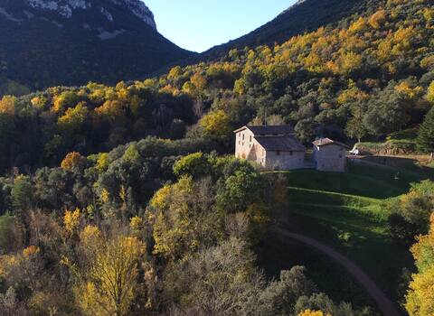 The Forest House in Alta Garrotxa - Forest Baths